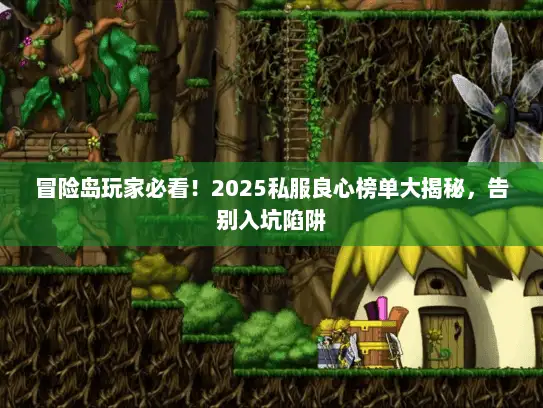 冒险岛玩家必看！2025私服良心榜单大揭秘，告别入坑陷阱