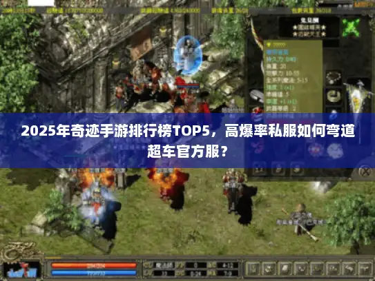 2025年奇迹手游排行榜TOP5，高爆率私服如何弯道超车官方服？