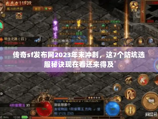 传奇sf发布网2023年末冲刺，这7个防坑选服秘诀现在看还来得及