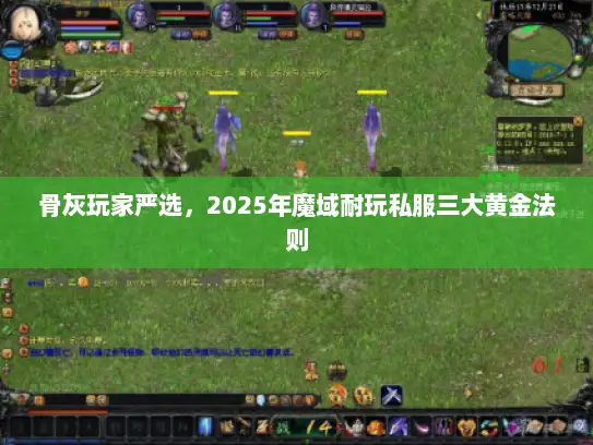 骨灰玩家严选，2025年魔域耐玩私服三大黄金法则