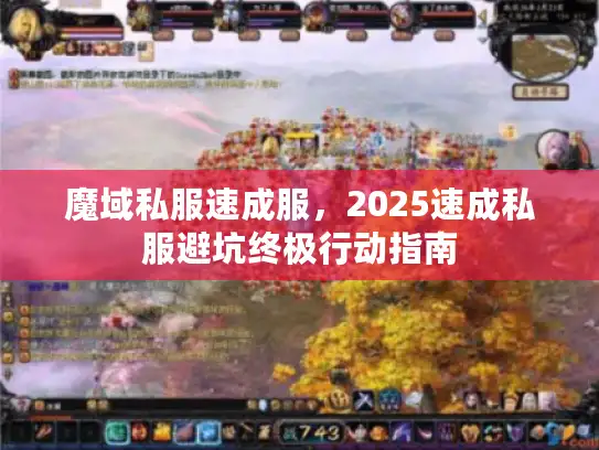 魔域私服速成服，2025速成私服避坑终极行动指南