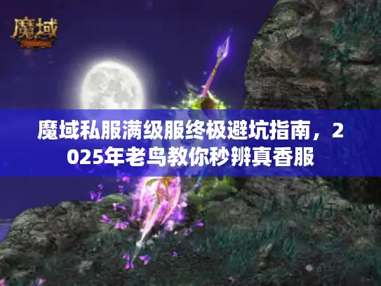 魔域私服满级服终极避坑指南，2025年老鸟教你秒辨真香服