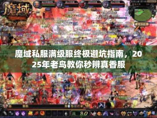 魔域私服满级服终极避坑指南，2025年老鸟教你秒辨真香服