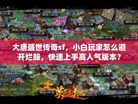 大唐盛世传奇sf，小白玩家怎么避开烂服，快速上手高人气版本？