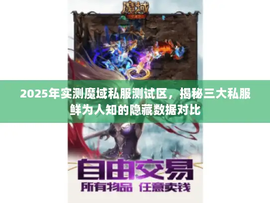 2025年实测魔域私服测试区，揭秘三大私服鲜为人知的隐藏数据对比