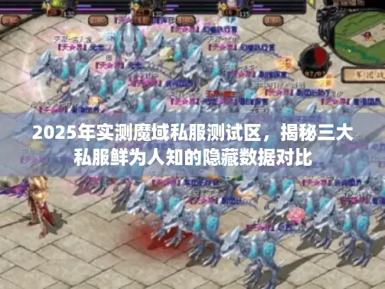 2025年实测魔域私服测试区，揭秘三大私服鲜为人知的隐藏数据对比