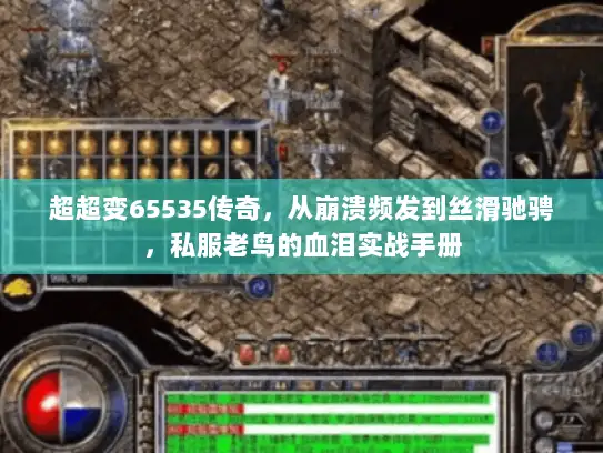 超超变65535传奇，从崩溃频发到丝滑驰骋，私服老鸟的血泪实战手册