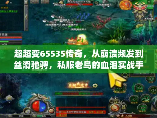 超超变65535传奇，从崩溃频发到丝滑驰骋，私服老鸟的血泪实战手册