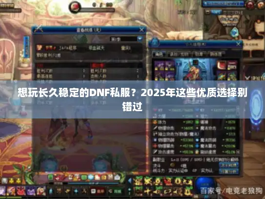 想玩长久稳定的DNF私服？2025年这些优质选择别错过