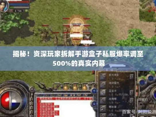 揭秘！资深玩家拆解手游盒子私服爆率调至 500%的真实内幕