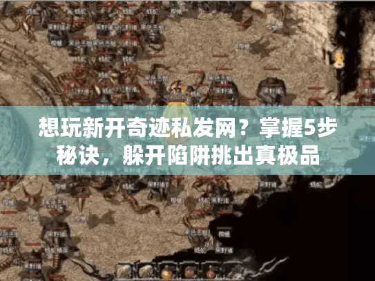 想玩新开奇迹私发网？掌握5步秘诀，躲开陷阱挑出真极品