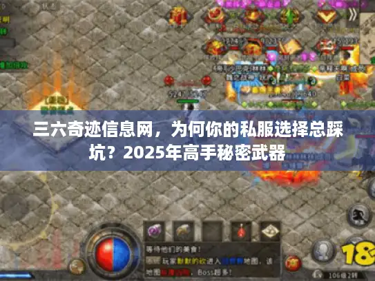三六奇迹信息网，为何你的私服选择总踩坑？2025年高手秘密武器