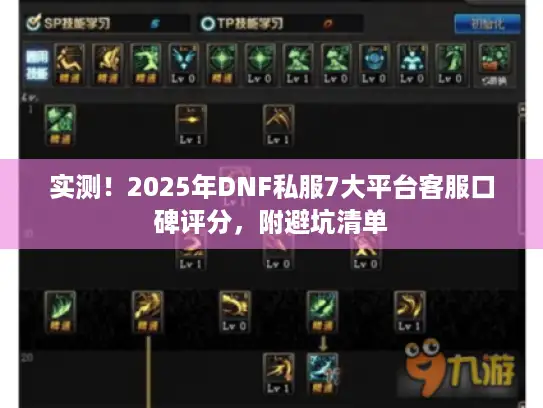 实测！2025年DNF私服7大平台客服口碑评分，附避坑清单
