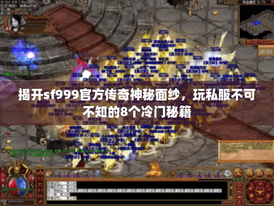 揭开sf999官方传奇神秘面纱，玩私服不可不知的8个冷门秘籍