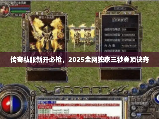 传奇私服新开必抢，2025全网独家三秒登顶诀窍
