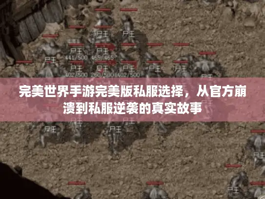 完美世界手游完美版私服选择，从官方崩溃到私服逆袭的真实故事