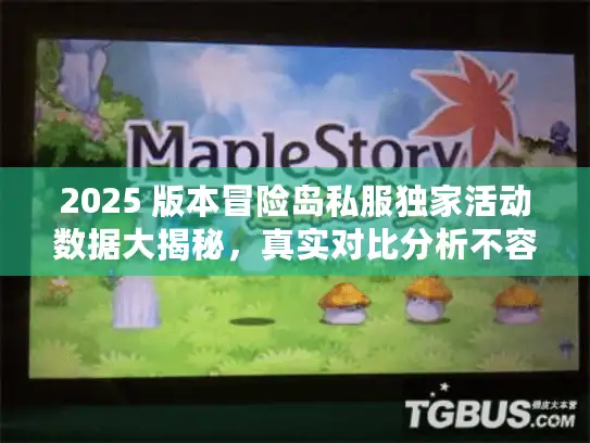 2025 版本冒险岛私服独家活动数据大揭秘，真实对比分析不容错过！