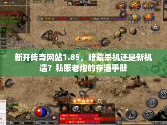 新开传奇网站1.85，暗藏杀机还是新机遇？私服老炮的存活手册