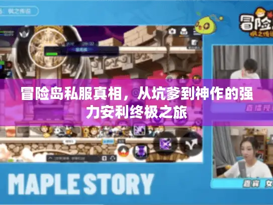 冒险岛私服真相，从坑爹到神作的强力安利终极之旅