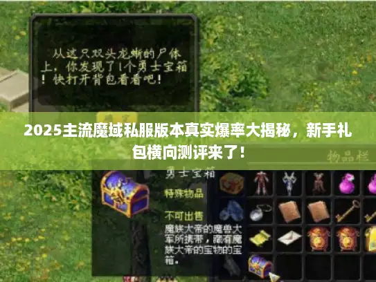2025主流魔域私服版本真实爆率大揭秘，新手礼包横向测评来了！