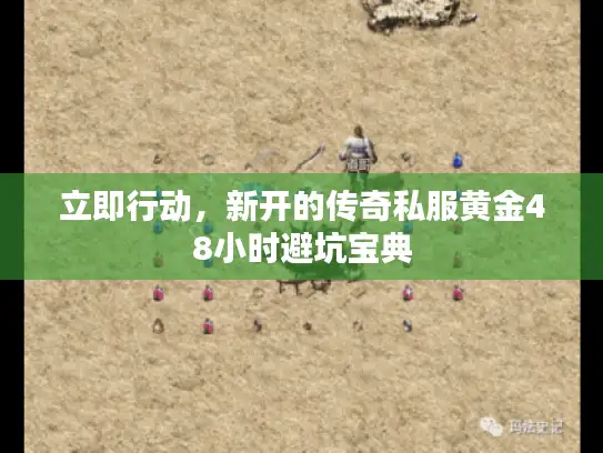 立即行动，新开的传奇私服黄金48小时避坑宝典
