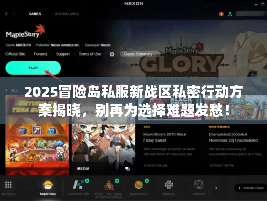 2025冒险岛私服新战区私密行动方案揭晓，别再为选择难题发愁！