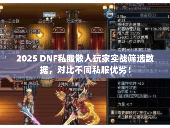 2025 DNF私服散人玩家实战筛选数据，对比不同私服优劣！