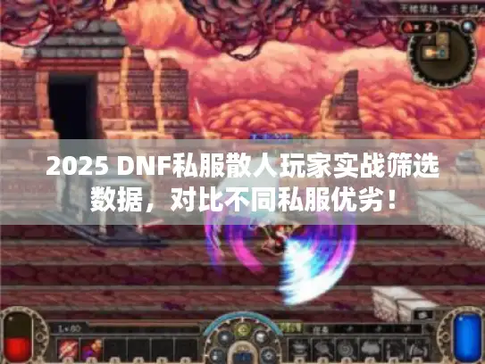 2025 DNF私服散人玩家实战筛选数据，对比不同私服优劣！