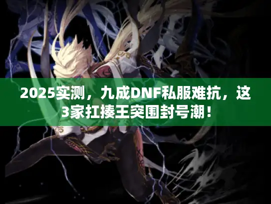 2025实测，九成DNF私服难抗，这3家扛揍王突围封号潮！