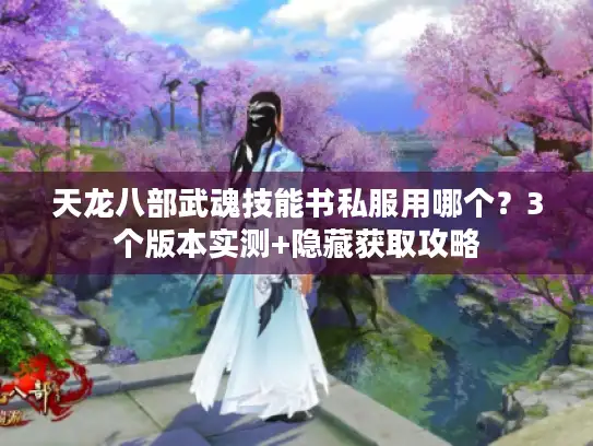 天龙八部武魂技能书私服用哪个？3个版本实测+隐藏获取攻略