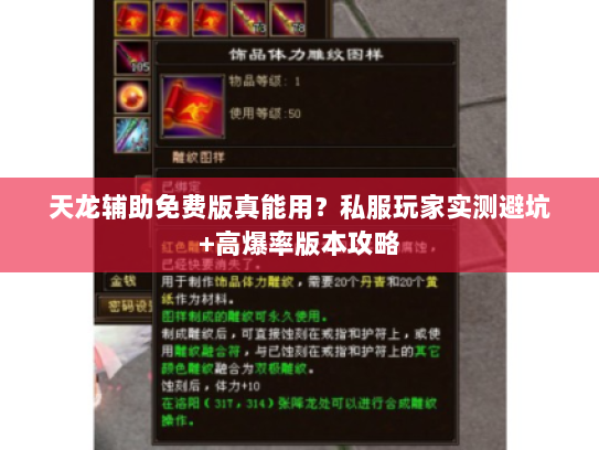 天龙辅助免费版真能用？私服玩家实测避坑+高爆率版本攻略