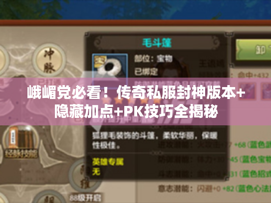 峨嵋党必看！传奇私服封神版本+隐藏加点+PK技巧全揭秘