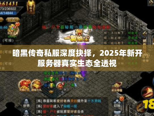 暗黑传奇私服深度抉择，2025年新开服务器真实生态全透视