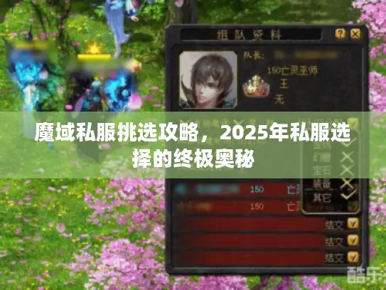 魔域私服挑选攻略,2025年私服选择的终极奥秘 魔域私服挑选攻略,2025年私服选择的终极奥秘