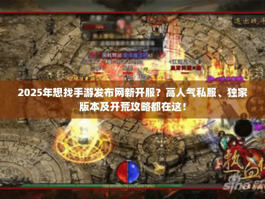 2025年想找手游发布网新开服？高人气私服、独家版本及开荒攻略都在这！