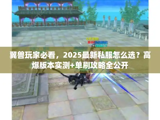 翼兽玩家必看，2025最新私服怎么选？高爆版本实测+单刷攻略全公开