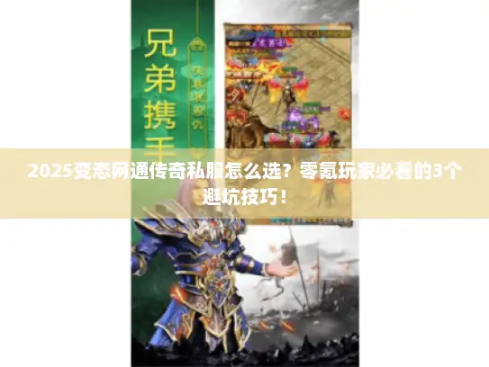 2025变态网通传奇私服怎么选？零氪玩家必看的3个避坑技巧！