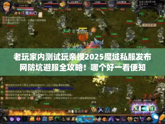 老玩家内测试玩亲授2025魔域私服发布网防坑避服全攻略！哪个好一看便知