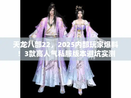 天龙八部22，2025内部玩家爆料！3款高人气私服版本避坑实测
