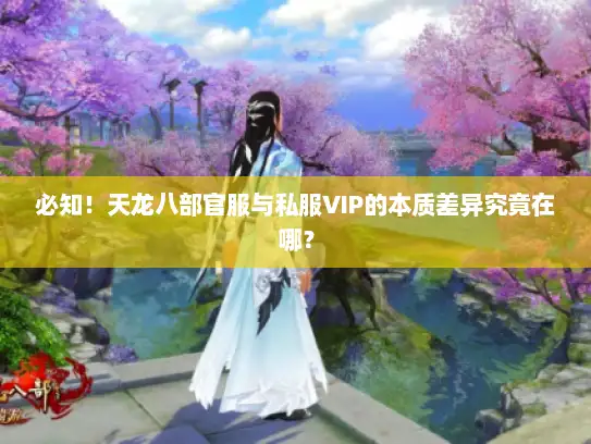 必知！天龙八部官服与私服VIP的本质差异究竟在哪？