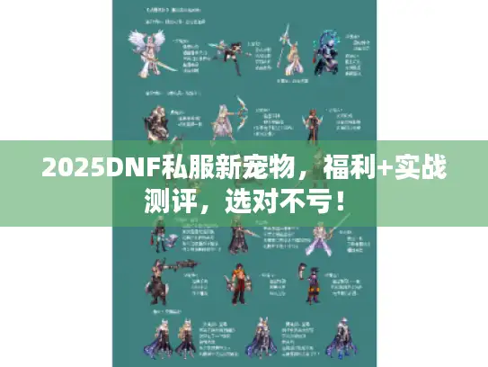 2025DNF私服新宠物，福利+实战测评，选对不亏！
