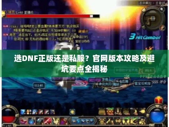 选DNF正版还是私服？官网版本攻略及避坑要点全揭秘