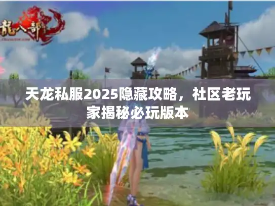 天龙私服2025隐藏攻略，社区老玩家揭秘必玩版本