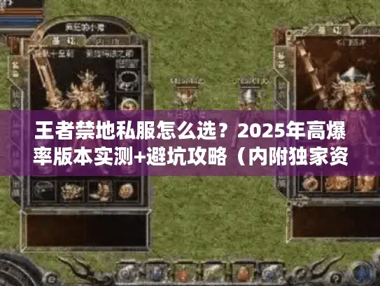 王者禁地私服怎么选？2025年高爆率版本实测+避坑攻略（内附独家资源）