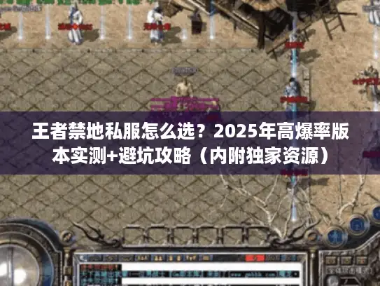 王者禁地私服怎么选？2025年高爆率版本实测+避坑攻略（内附独家资源）