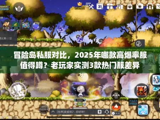 冒险岛私服对比，2025年哪款高爆率服值得蹲？老玩家实测3款热门服差异