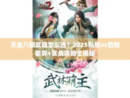天龙八部武魂怎么选？2025私服vs官服差异+实战攻略全揭秘
