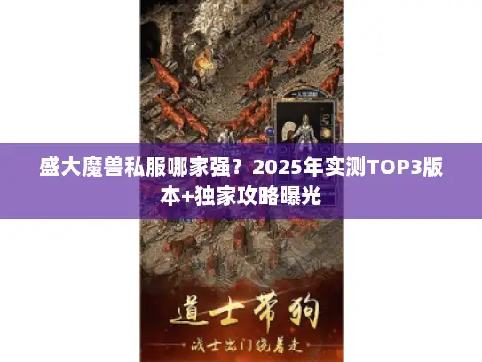 盛大魔兽私服哪家强？2025年实测TOP3版本+独家攻略曝光