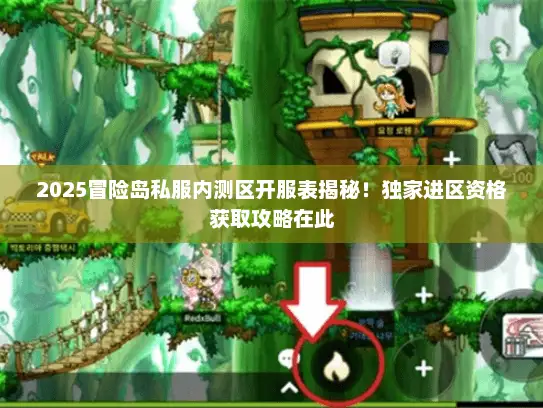 2025冒险岛私服内测区开服表揭秘！独家进区资格获取攻略在此