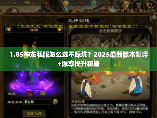 1.85神龙私服怎么选不踩坑？2025最新版本测评+爆率提升秘籍